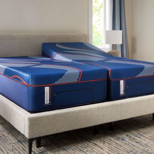 A modern bedroom showcases a beige upholstered bed frame with two blue Sealy Posturepedic® Elite Hybrid Albany II 13" Medium Mattresses at different angles. Sunlight streams through blue curtains onto a rug over the wooden floor.