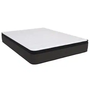 Southerland's Prairie Plush Euro Top mattress features a white quilted top and dark gray textured sides, displayed on a white background.